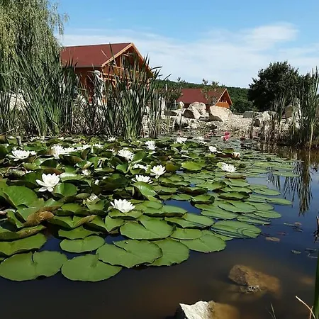 Rózsapark Maison d'hôtes 3*