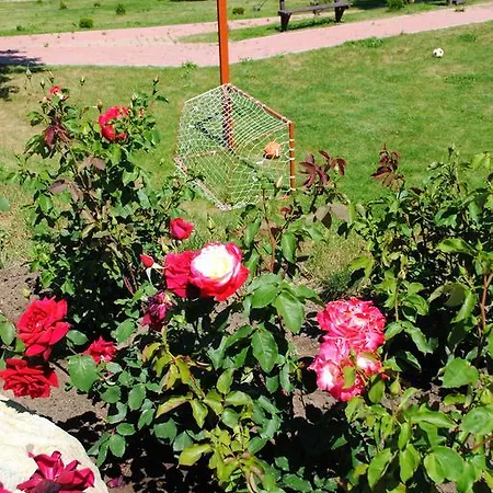 Rózsapark 3* Demjén